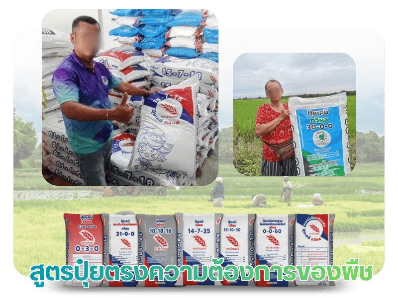 โรงงานผลิตปุ๋ยOEM กาญจนบุรี